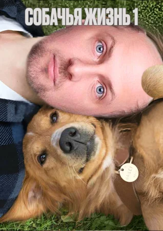 Собачья жизнь